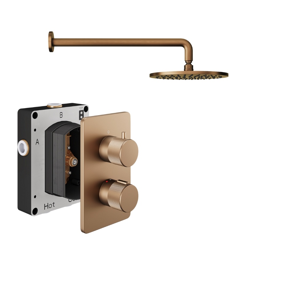 Product Cut out image of the Abacus Iso Pro Brushed Bronze 1 Outlet Shower Pack with Fixed Shower Head